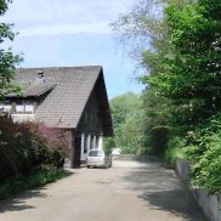 Ferienwohnungen Seeblick Unterkirnach 외부 사진