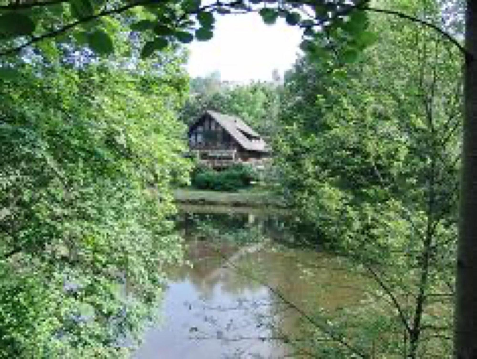 Ferienwohnungen Seeblick Unterkirnach 외부 사진