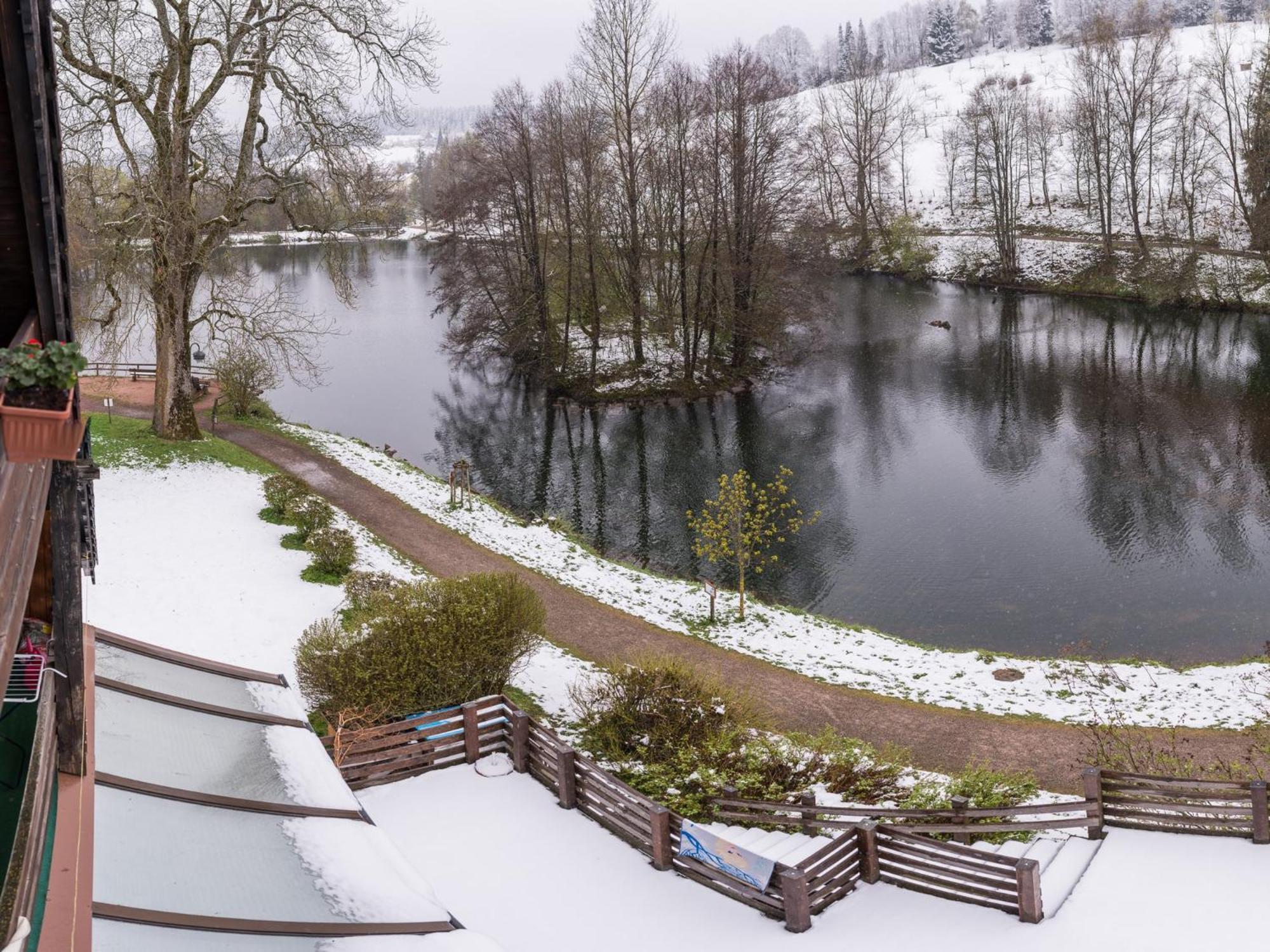 Ferienwohnungen Seeblick Unterkirnach 외부 사진